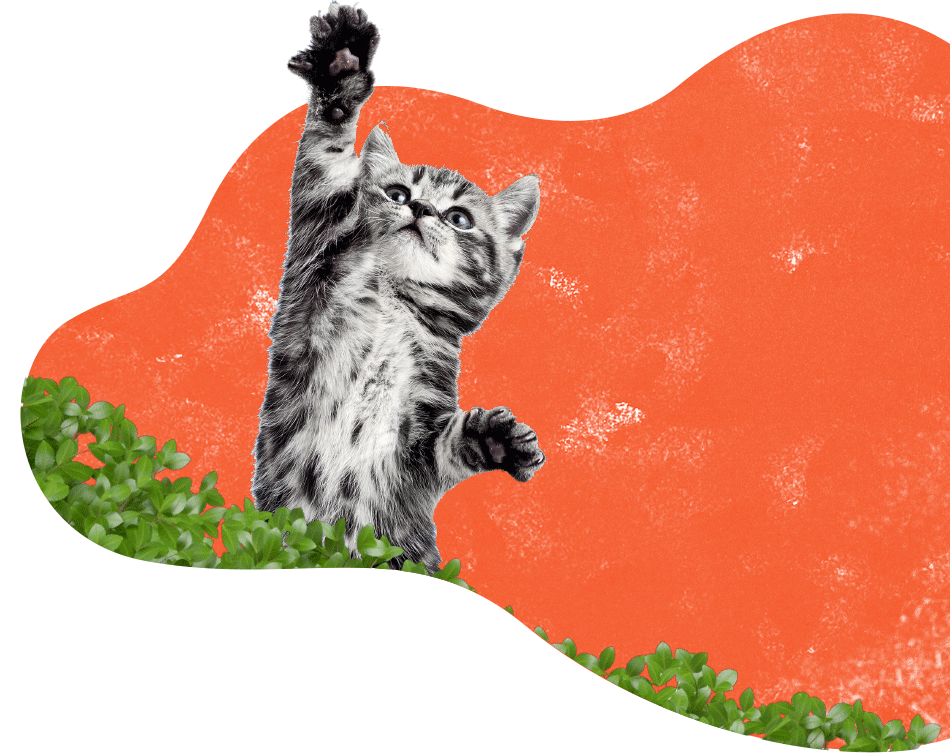 https://stopanin-pod-naem.com/wp-content/uploads/2021/11/inner_services_cat.png